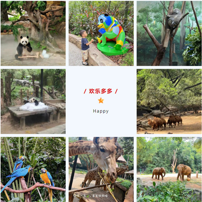 大手牽小手,快樂(lè)親子游!廣東博皓2023年親子游活動(dòng) -8