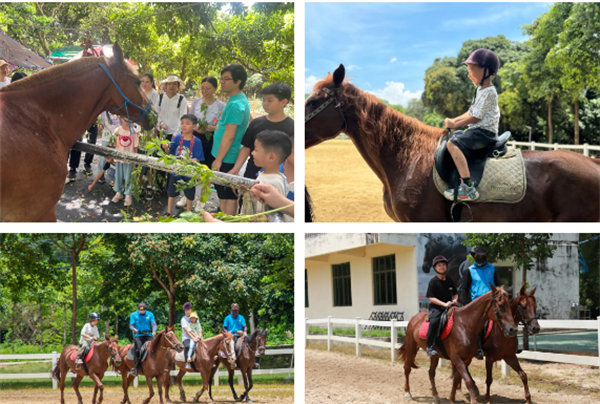 趣游盛夏，一路童行—2024年廣東博皓親子游   -10