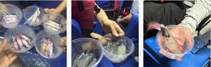 攜手博皓逐夢(mèng)行，巽寮灣上展豪情—廣東博皓2025年巽寮灣之旅    -10