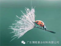 【博皓感悟】成功，要“借力”，不要“盡力”