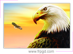 學(xué)習(xí)組織——鷹之家 學(xué)習(xí)組織——鷹之家