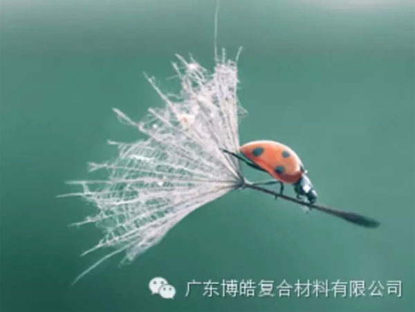 【博皓感悟】成功，要“借力”，不要“盡力”